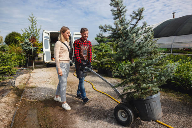 How Our Tree Care Process Works  in  Quincy, MI